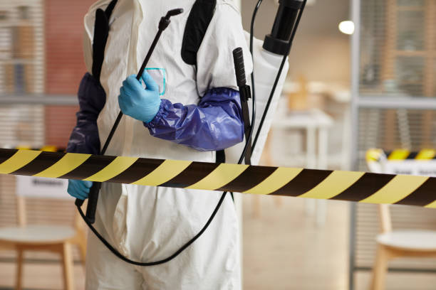 Professional Sewage Cleanup technician working in Eldorado, OH